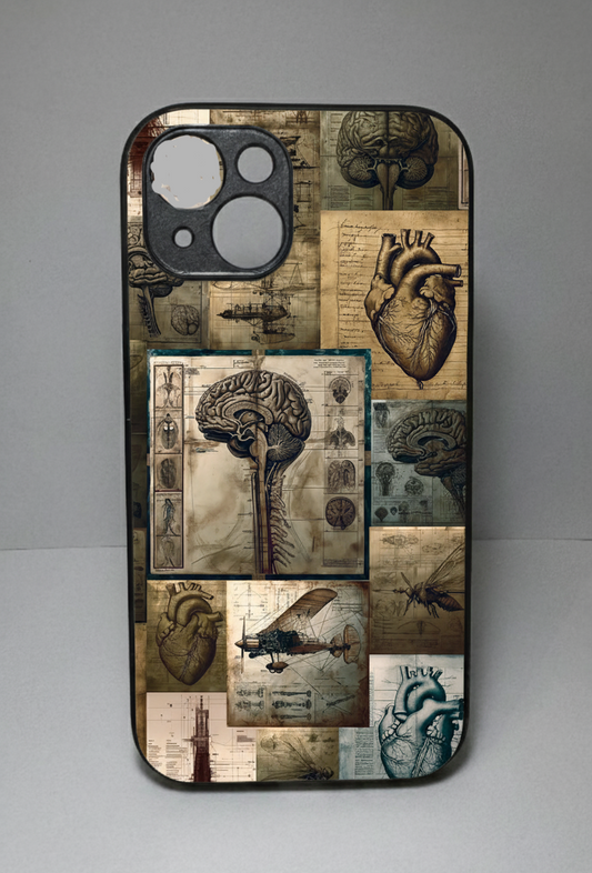 anatomie case